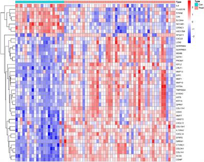Identification of diagnostic gene biomarkers related to immune infiltration in patients with idiopathic pulmonary fibrosis based on bioinformatics strategies